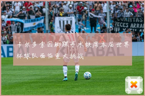 卡尔多索因脚踝手术缺席本届世界杯球队面临重大挑战