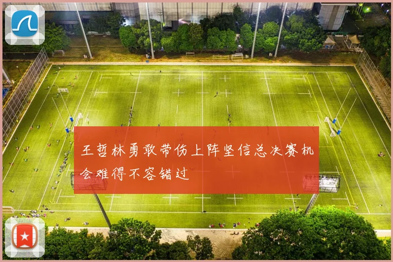 王哲林勇敢带伤上阵坚信总决赛机会难得不容错过